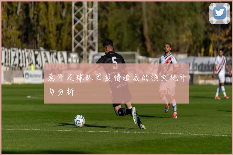 意甲足球队因疫情造成的损失统计与分析