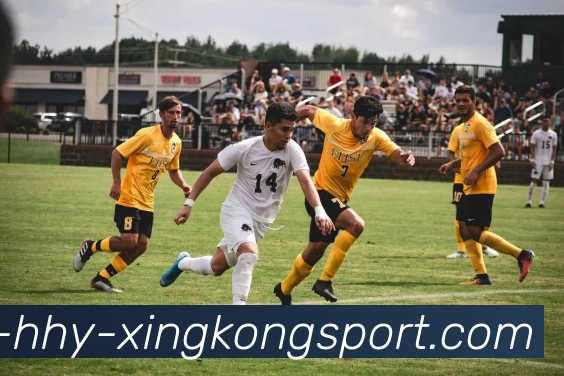 星空体育发展历程